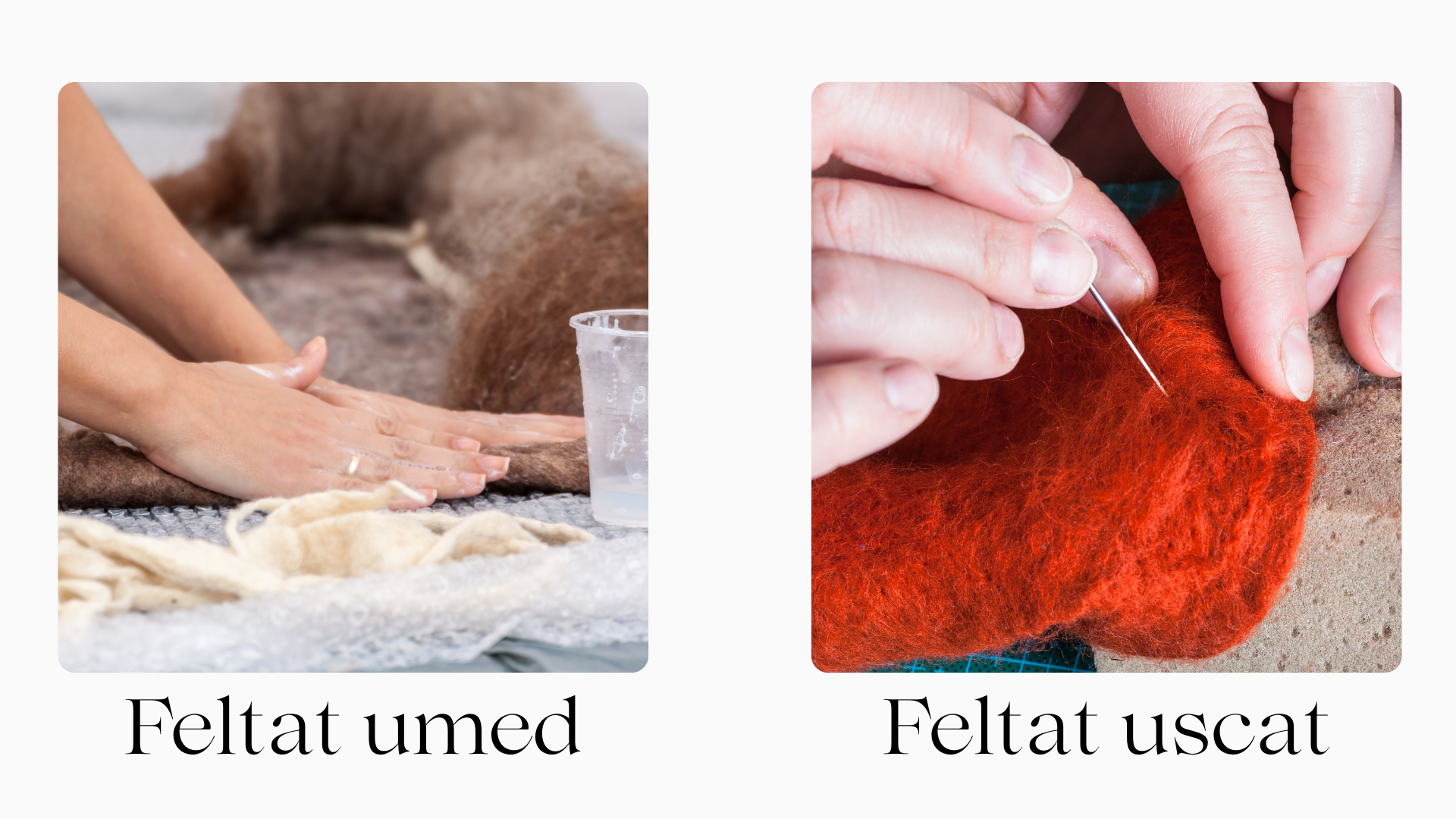 feltat umed vs feltat uscat