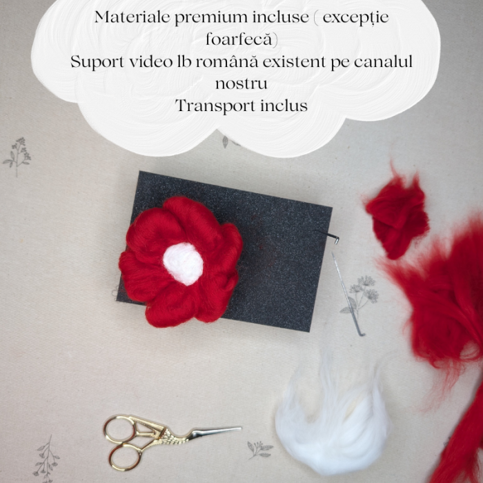 Curs de feltat pentru începători-kit inclus [2]