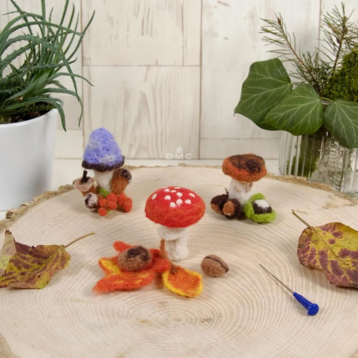 Kit feltat pădure ciuperci [4]