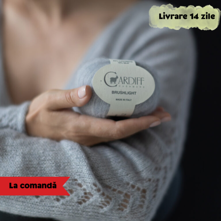 Precomandă - Cardiff Brushlight