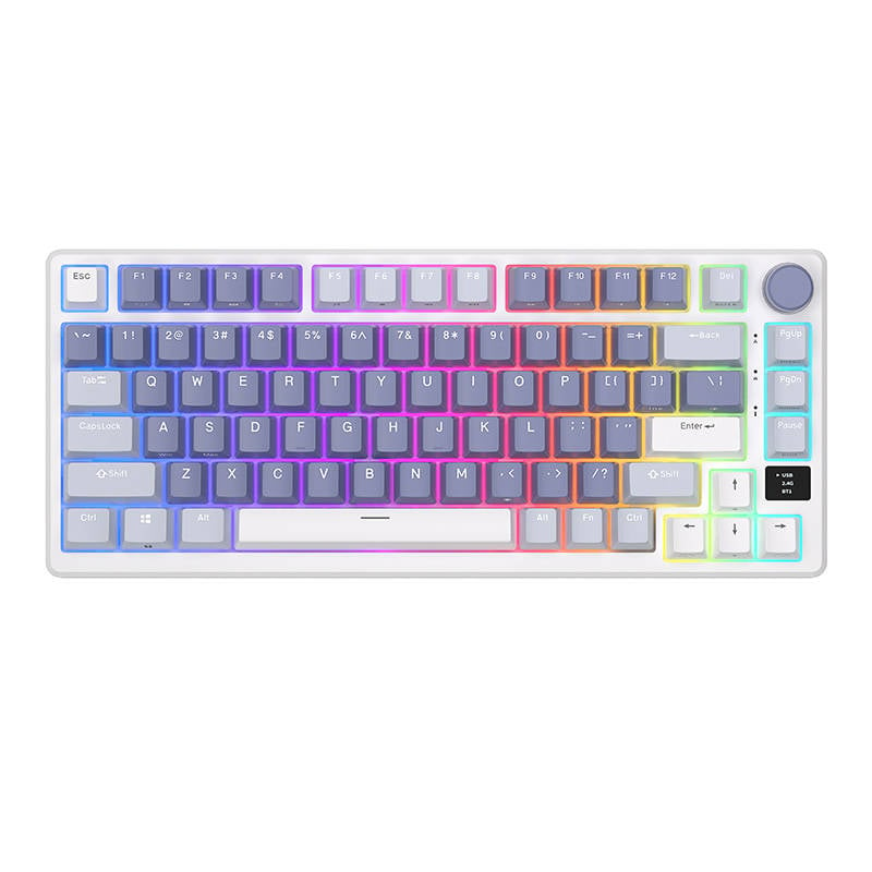 Tastatura mecanica fara fir Royal Kludge RKM75 RGB, comutator argintiu (albastru)