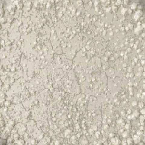 Mastic pentru lipire si restaurare - Colorant Alb, 30g ILPA