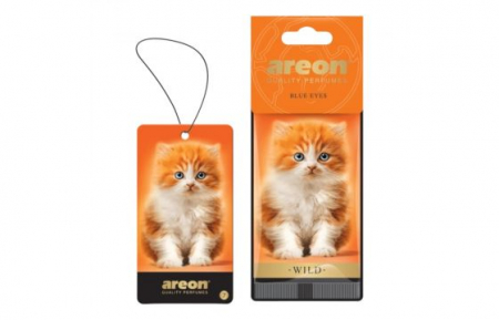 Accesorii auto si camping - 985635 AREON DRY WILD BLUE EYES