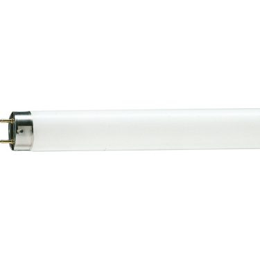 Becuri - TUB NEON SNOW TLD 36W