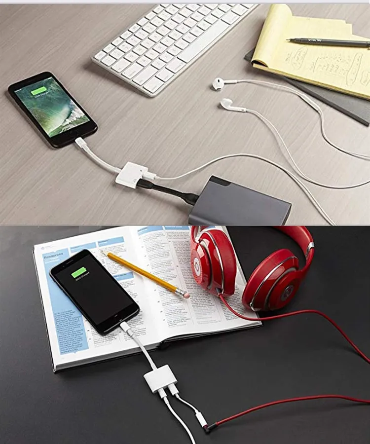 Adaptor-Convertor Apple [5]