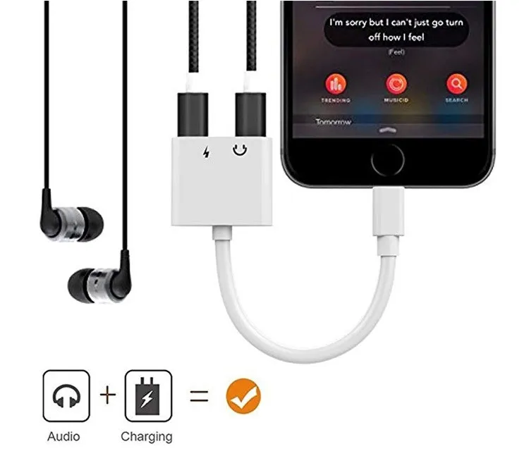 Adaptor-Convertor Apple [6]