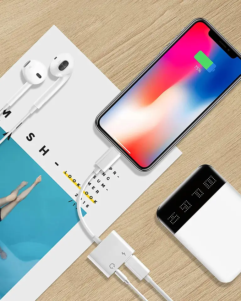 Adaptor-Convertor Apple [6]
