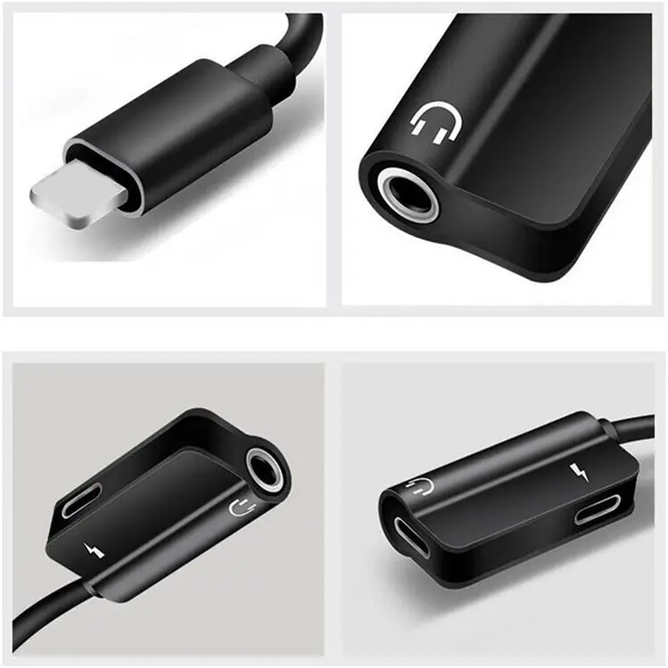 Adaptor-Convertor pentru Apple [4]