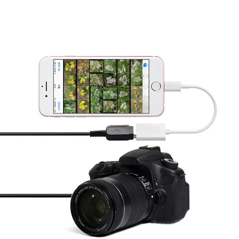 Adaptor-Convertor pentru Apple [3]