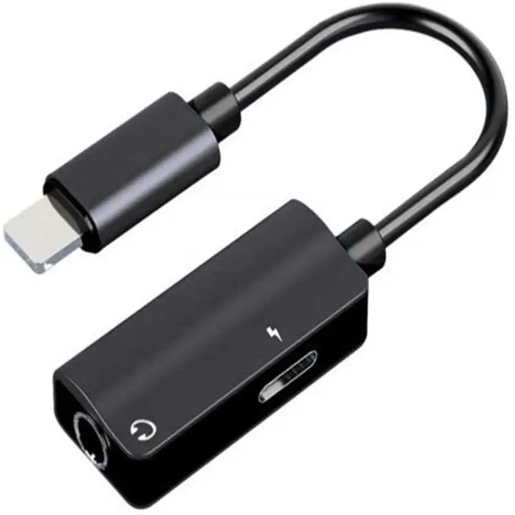 Adaptor-Convertor pentru Apple [5]
