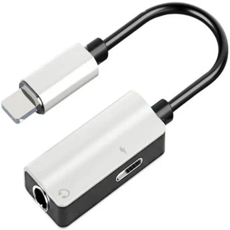 Adaptor-Convertor pentru Apple [3]