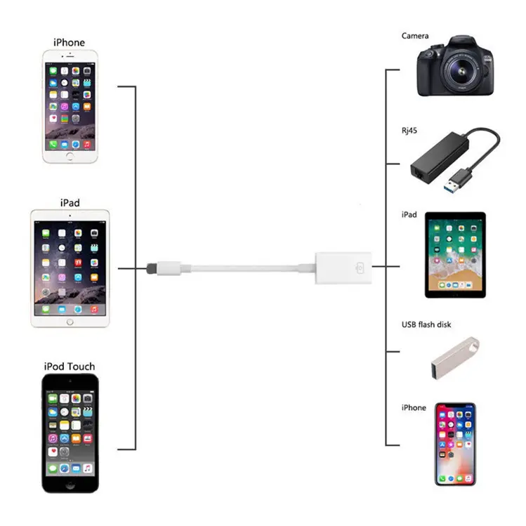 Adaptor-Convertor pentru Apple [5]