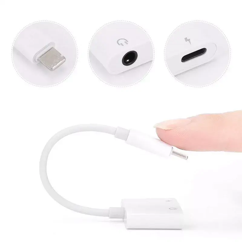 Adaptor-Convertor Apple [1]
