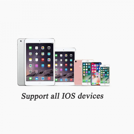 Adaptor-Convertor Apple [1]