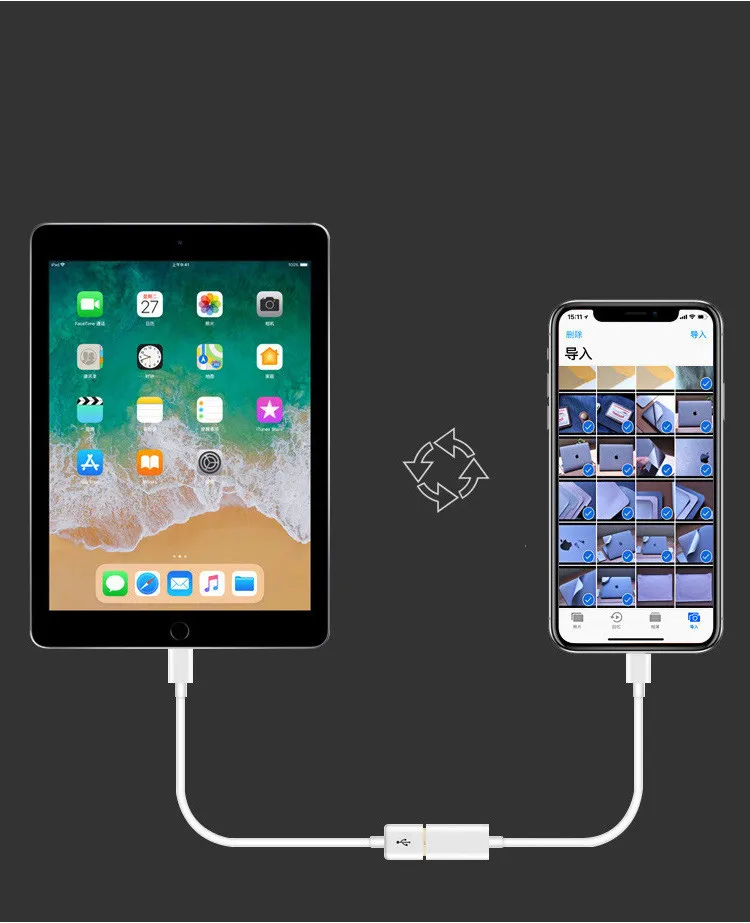 Adaptor-Convertor pentru Apple [1]