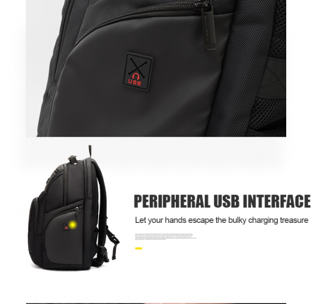 Ghiozdan pentru laptop [9]