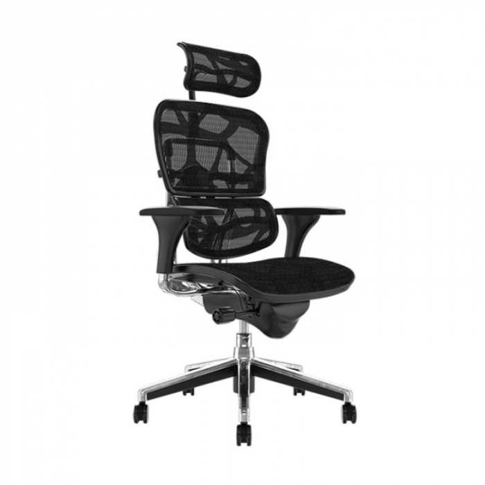 Scaun  ergonomic ERGOHUMAN material MESH [2]