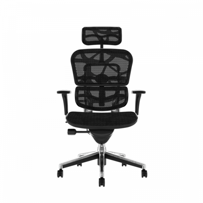 Scaun  ergonomic ERGOHUMAN material MESH [3]
