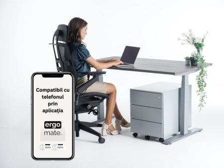 Birou cu înălțime reglabilă electric, Upgrade 2.0, Dual Motor