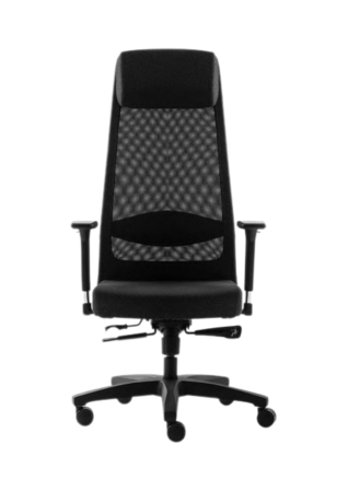 Scaune - Scaun ergonomic cu suport lombar, tetieră și brațe reglabile 30.12.101