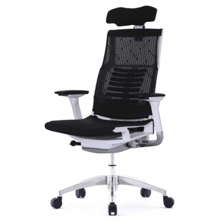 Ergonomice - Scaun ergonomic model PROFIT