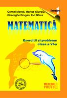 Invatamant gimnazial - Matematica - clasa a VI-a, semestrul I 2009-2010