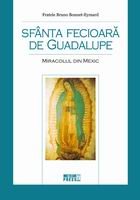 Religie - Sfanta Fecioara de Guadalupe