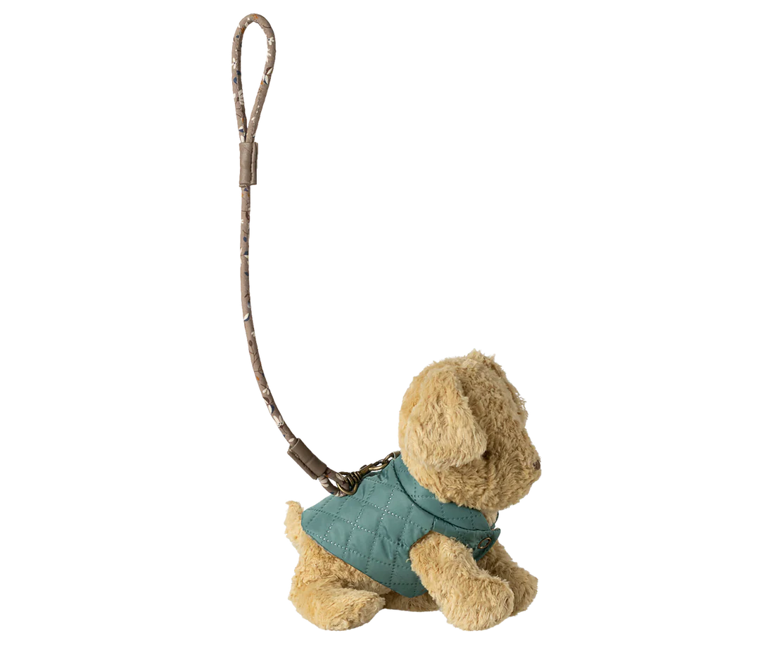 ACCESORII MAILEG - Zgardă și lesă pentru animale de companie, MINT INCHIS [2]