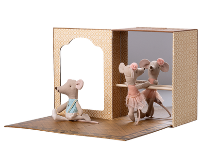 Accesorii-Șoareci de balet în studioul de dans, soră și frate mai mic [1]