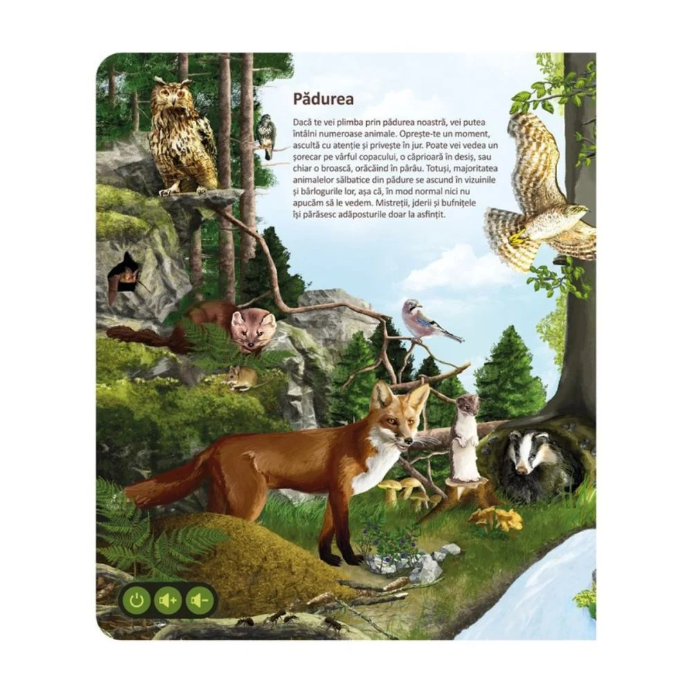 Carte interactiva, Raspundel Istetel, Lumea animalelor [2]