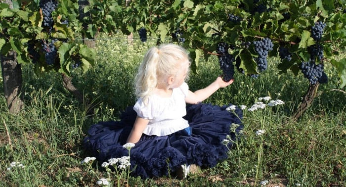 Fusta Tutu Pettitskirt + Tutu pentru păpușă + rucsac de balet de marcă [4]