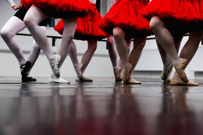 Fusta Tutu Pettitskirt + Tutu pentru păpușă + rucsac de balet de marcă [4]