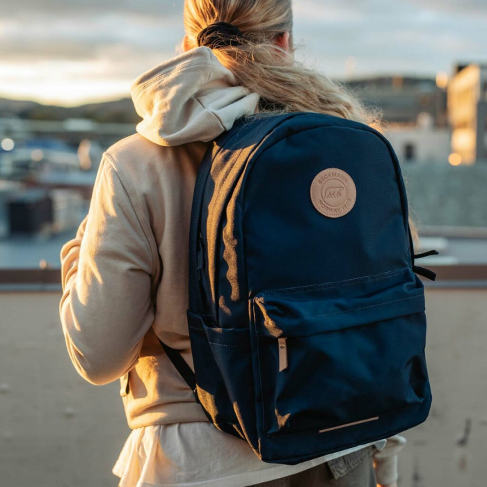 Rucsac, ghiozdan ergonomic City, 30L, Mountain Blue [7]