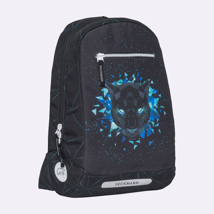 Rucsac de zi (antrenamente, excursii, parc), Panther [3]