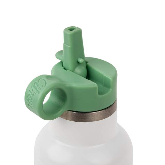 Sticla de apa-250ml- Dino [2]