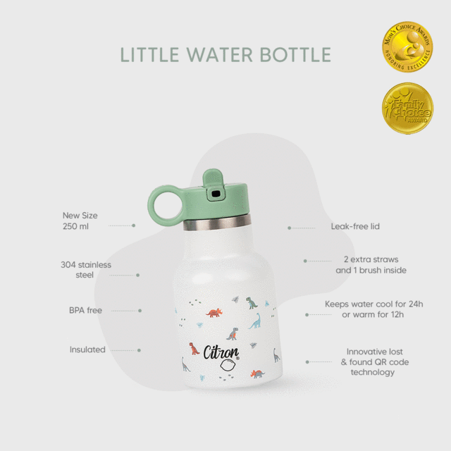 Sticla de apa-250ml- Dino [4]
