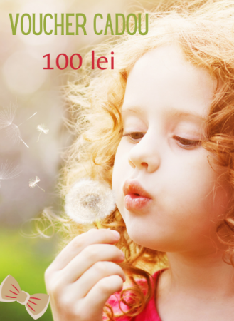 Voucher - Voucher 100 Ron
