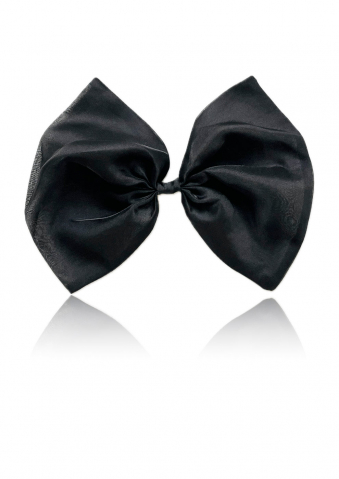 Accesorii par - Funda de par cu clips, organza, neagra