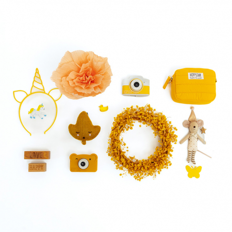 Geanta MINI pentru aparatul foto Rookie si Exper – Hoppstar HONEY [4]