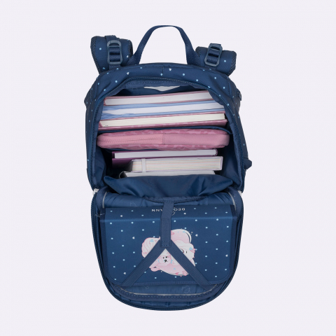 Ghiozdan, rucsac ergonomic cu perna de aer, Active Air FLX, Pet Friends Blue [9]