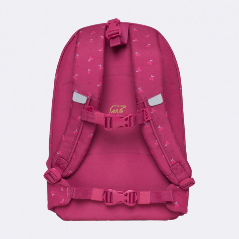 GHIOZDAN, RUCSAC ERGONOMIC CU PERNA DE AER, SET ACTIVE AIR FLX 6 PIESE, CHERRY [15]
