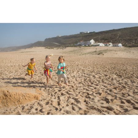 Produse - Joc Prinde si smulge, BS Toys