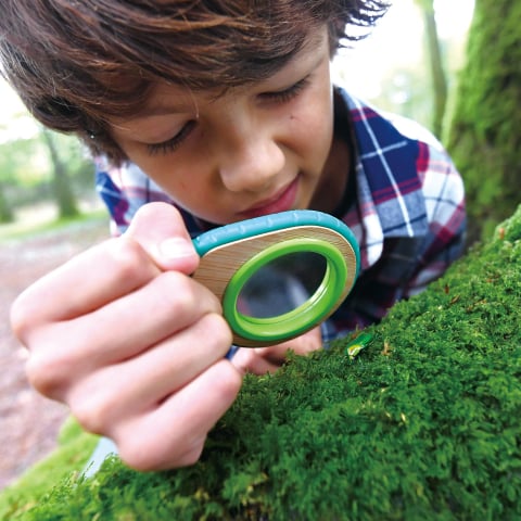 Lupa si fluier din bambus, set de jucarie pentru copii HAPE [3]