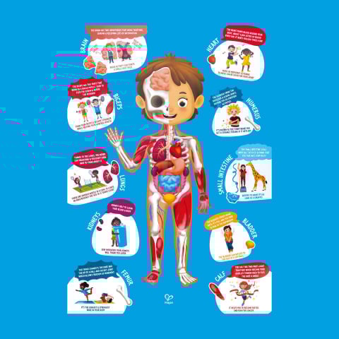 Puzzle pentru copii - Corpul Uman (61 piese) [3]