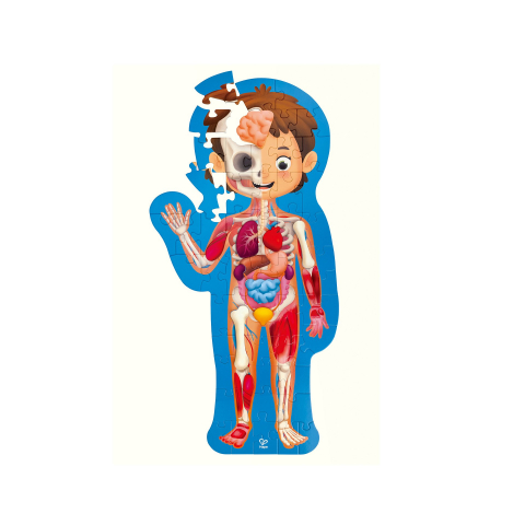 Jucarii Hape - Puzzle pentru copii - Corpul Uman (61 piese)