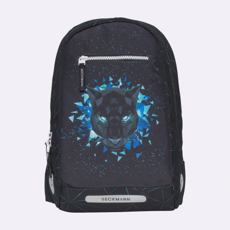 Penare si ghiozdane - Rucsac de zi (antrenamente, excursii, parc), Panther