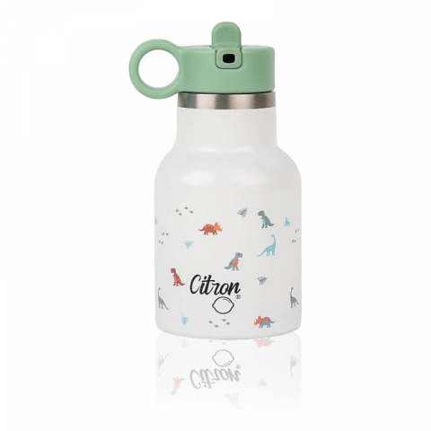 Citron - Sticla de apa-250ml- Dino