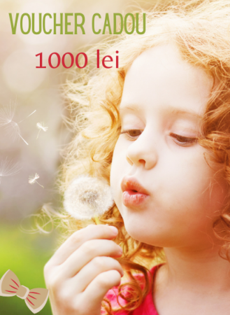 Voucher - Voucher 1000 Ron