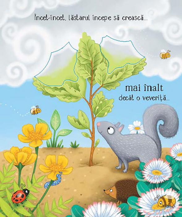 Cicluri de viata. Copacelul Usborne Books, 3 ani+ [3]