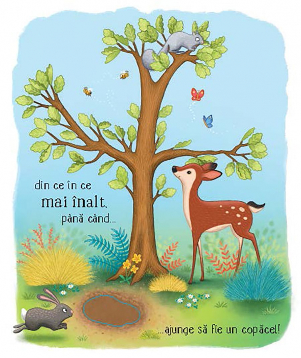 Cicluri de viata. Copacelul Usborne Books, 3 ani+ [4]